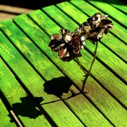 METALLICO. Fotografia di Giulio Azzarello &copy;2023.