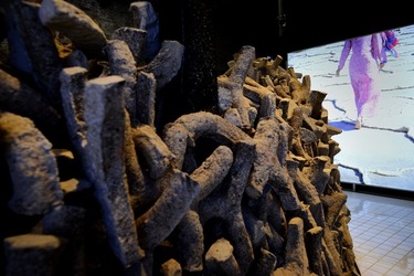 VENEZIA Padiglione Emirati Arabi Arsenale. Biennale Arch. Cont. Fotografie di Giulio Azzarello &copy;2022.