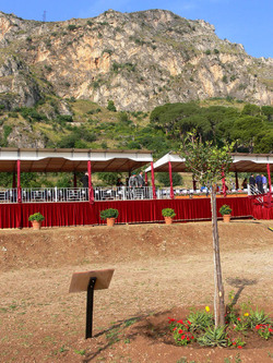 GIARDINO DELLA MEMORIA in Sicilia. Fotografie di Giulio Azzarello &copy;2014.