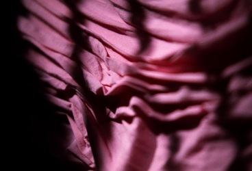 DIGITALIZZAZIONI fotografie di Giulio Azzarello &copy;2020.