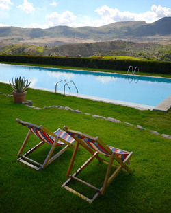 VENDEMMIA di AUTUNNO a S.Cristina Gela in Sicilia. Fotografie di Giulio Azzarello &copy;2016.