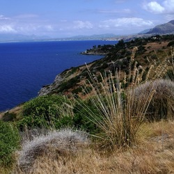 RISERVA dello ZINGARO fotografie di Giulio Azzarello &copy;2020.