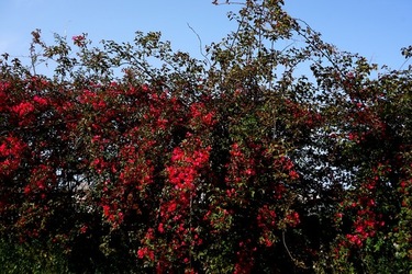 MONDELLO. Fotografie di Giulio Azzarello &copy;2023.