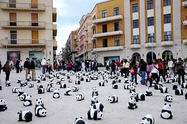 SIRACUSA arte a Ortiggia. Fotografie di Giulio Azzarello &copy;2014.