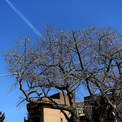 Arabo Normanno. Fotografie di Giulio Azzarello ©2024. Arabo Normanno. Fotografie di Giulio Azzarello ©2024.