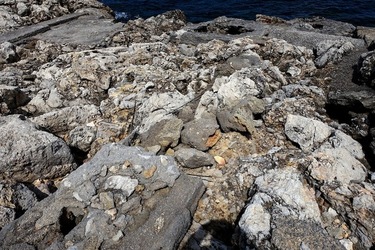 ARENELLA Fotografia di Giulio Azzarello ©2022.