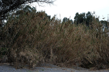 PAESAGGIO CATANESE panoramiche e particolari. Fotografie di Giulio Azzarello &copy;2014.