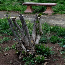 TRONCHI. Fotografie di Giulio Azzarello ©2022.