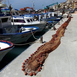 SELINUNTE. Fotografie di Giulio Azzarello &copy;2022.