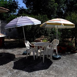 GIARDINO fotografie di Giulio Azzarello ©2019. GIARDINO fotografie di Giulio Azzarello ©2019.