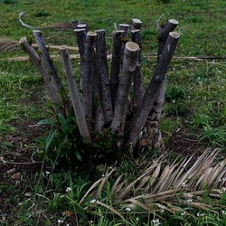 TRONCHI. Fotografie di Giulio Azzarello ©2022.