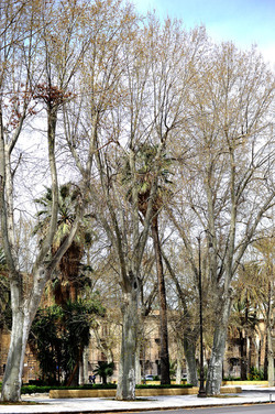 VILLA BONANNO a Palermo. Fotografie di Giulio Azzarello &copy;2016.