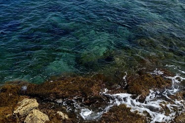 ARENELLA Fotografia di Giulio Azzarello ©2022.