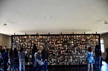AUSCHWITZ BIRKENAU il percorso della memoria e i documenti. Fotografie di Giulio Azzarello &copy;2016.