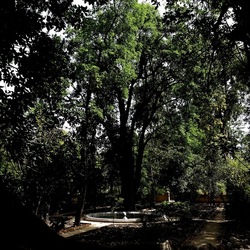 ORTO BOTANICO. Fotografie di Giulio Azzarello &copy;2024.