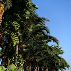 SELINUNTE. Fotografie di Giulio Azzarello ©2022. SELINUNTE. Fotografie di Giulio Azzarello ©2022.