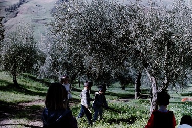 DIGITALIZZAZIONI fotografie di Giulio Azzarello &copy;2020.
