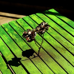 METALLICO. Fotografia di Giulio Azzarello &copy;2023.
