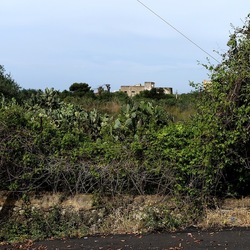 CAMMINANDO. Fotografie di Giulio Azzarello &copy;2024.