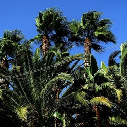 SELINUNTE. Fotografie di Giulio Azzarello ©2022. SELINUNTE. Fotografie di Giulio Azzarello ©2022.