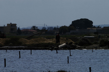 WWF Sicilia le Saline di Trapani. Fotografie di Giulio Azzarello &copy;2014.