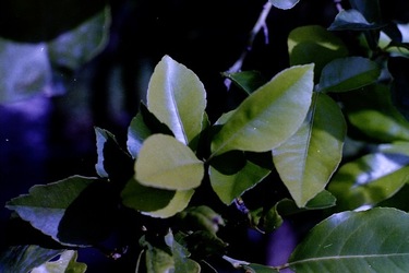 DIGITALIZZAZIONI fotografie di Giulio Azzarello &copy;2020.