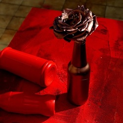 NATURE MORTE. Fotografie di Giulio Azzarello ©2024. NATURE MORTE. Fotografie di Giulio Azzarello ©2024.