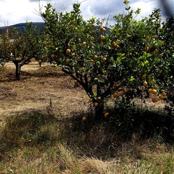 CAMMINANDO. Fotografie di Giulio Azzarello &copy;2024.