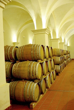 BOTTI per il vino. Fotografie di Giulio Azzarello ©2016. BOTTI per il vino. Fotografie di Giulio Azzarello ©2016.