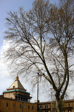 VILLA BONANNO a Palermo. Fotografie di Giulio Azzarello &copy;2016.
