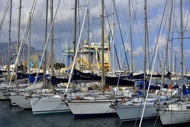 BARCHE fotografie di Giulio Azzarello ©2019.
