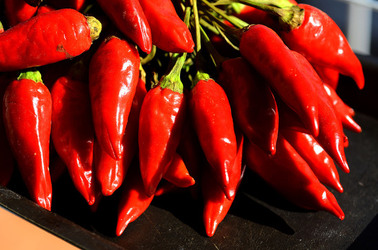 PEPERONCINO fotografie di Giulio Azzarello ©2014. PEPERONCINO fotografie di Giulio Azzarello ©2014.