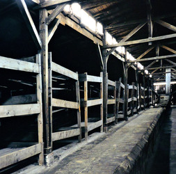 AUSCHWITZ BIRKENAU la memoria e la storia. Fotografie di Giulio Azzarello ©2016. AUSCHWITZ BIRKENAU la memoria e la storia. Fotografie di Giulio Azzarello ©2016.