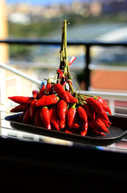 PEPERONCINO fotografie di Giulio Azzarello ©2014. PEPERONCINO fotografie di Giulio Azzarello ©2014.