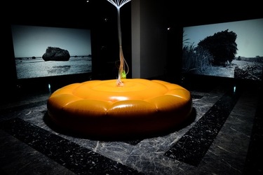 BIENNALE di VENEZIA Arte Contemporanea Giardini. Fotografie di Giulio Azzarello &copy;2020.