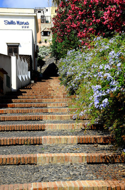 ISOLA DI USTICA il paese. Fotografie di Giulio Azzarello ©2016. ISOLA DI USTICA il paese. Fotografie di Giulio Azzarello ©2016.