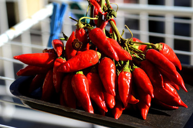 PEPERONCINO fotografie di Giulio Azzarello ©2014. PEPERONCINO fotografie di Giulio Azzarello ©2014.