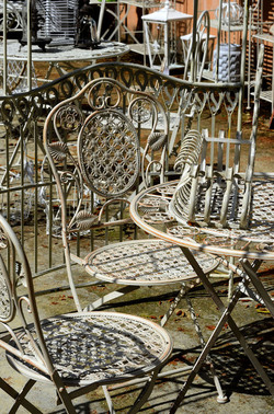 ORTO BOTANICO di Palermo in inverno. Fotografie di Giulio Azzarello &copy;2016.