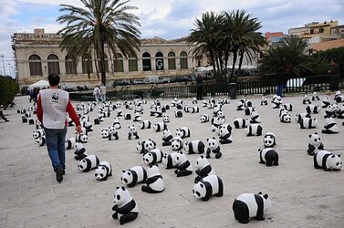 SIRACUSA arte a Ortiggia. Fotografie di Giulio Azzarello &copy;2014.