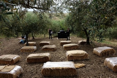 ULIVETO SICILIANO. Fotografie di Giulio Azzarello ©2022.
