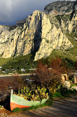 MACCHIA MEDITERRANEA in Sicilia. Fotografie di Giulio Azzarello &copy;2106.