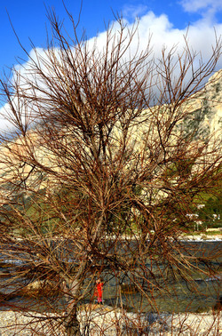 MACCHIA MEDITERRANEA in Sicilia. Fotografie di Giulio Azzarello &copy;2106.