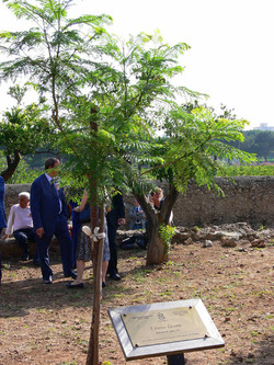 GIARDINO DELLA MEMORIA in Sicilia. Fotografie di Giulio Azzarello &copy;2014.
