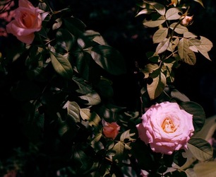 DIGITALIZZAZIONI fotografie di Giulio Azzarello &copy;2020.