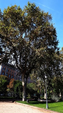 ROMA fotografie di Giulio Azzarello &copy;2022.