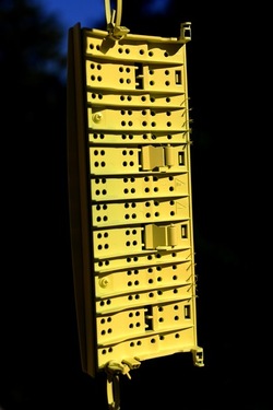 STILL LIFE ASSURDI fotografie di Giulio Azzarello ©2020.