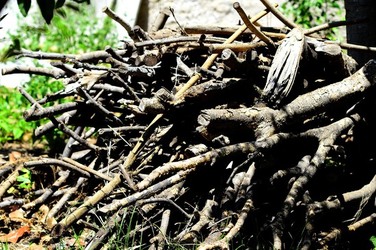 HABITAT NATURA in campagna. Fotografie di Giulio Azzarello ©2015 2016. HABITAT NATURA in campagna. Fotografie di Giulio Azzarello ©2015 2016.