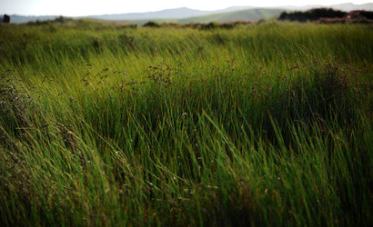 PAESAGGIO SICILIANO nel luogo delle macalube in Sicilia. Fotografie di Giulio Azzarello &copy;2014.