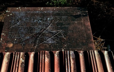 DIGITALIZZAZIONI fotografie di Giulio Azzarello &copy;2020.