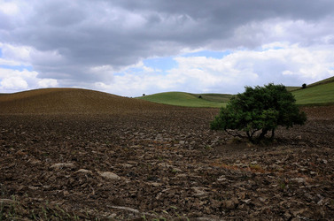 PAESAGGIO SICILIANO in provincia di Enna. Fotografie di Giulio Azzarello &copy;2014.